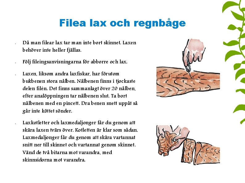 Filea lax och regnbåge • • Då man filear lax tar man inte bort