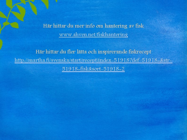 Här hittar du mer info om hantering av fisk www. ahven. net/fiskhantering Här hittar