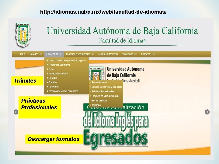 http: //idiomas. uabc. mx/web/facultad-de-idiomas/ Trámites Prácticas Profesionales Descargar formatos 