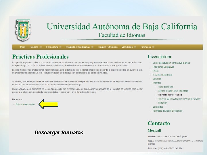 Descargar formatos 