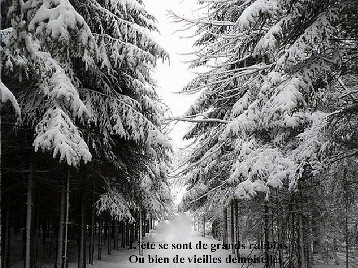 L’été se sont de grands rabbins Ou bien de vieilles demoiselles, 