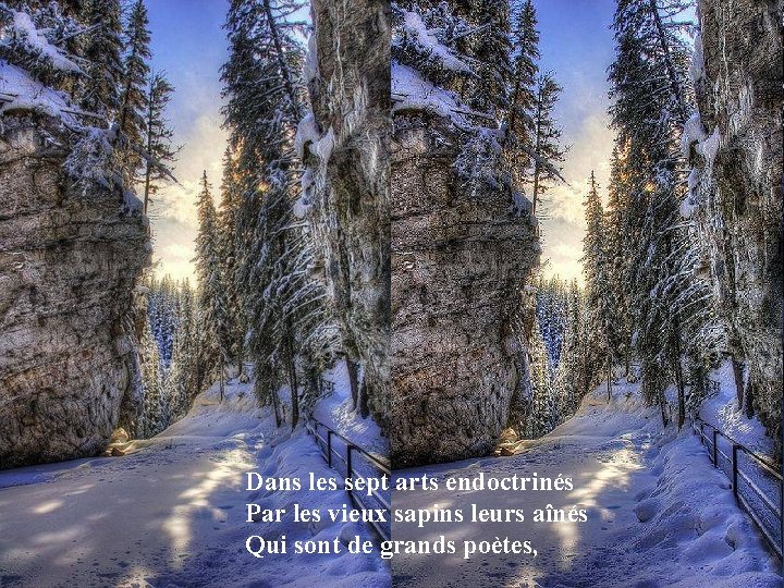 Dans les sept arts endoctrinés Par les vieux sapins leurs aînés Qui sont de