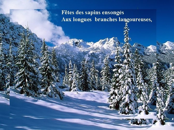 Fêtes des sapins ensongés Aux longues branches langoureuses, 