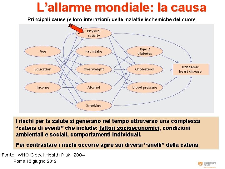 L’allarme mondiale: la causa Principali cause (e loro interazioni) delle malattie ischemiche del cuore