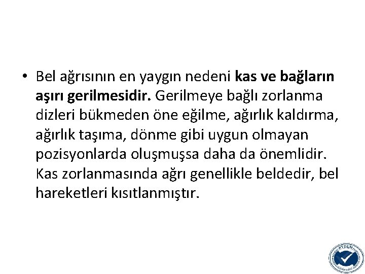  • Bel ağrısının en yaygın nedeni kas ve bağların aşırı gerilmesidir. Gerilmeye bağlı
