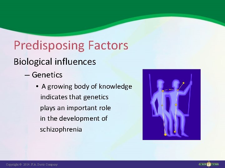 Predisposing Factors Biological influences – Genetics • A growing body of knowledge indicates that