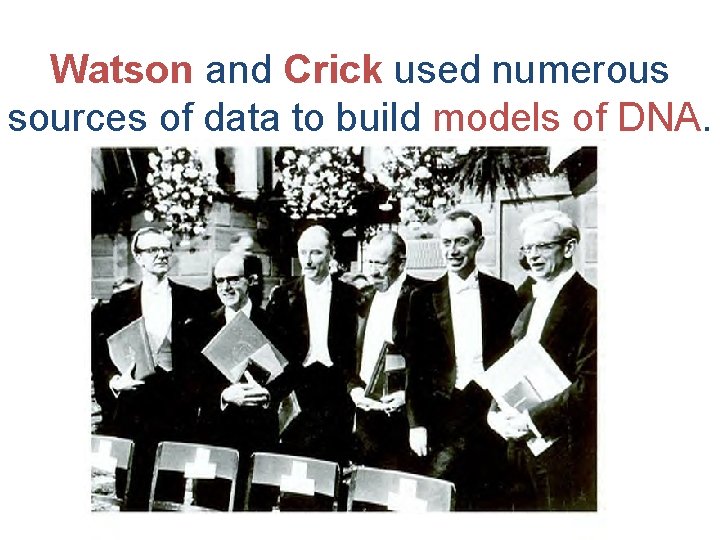 Watson and Crick used numerous sources of data to build models of DNA. 