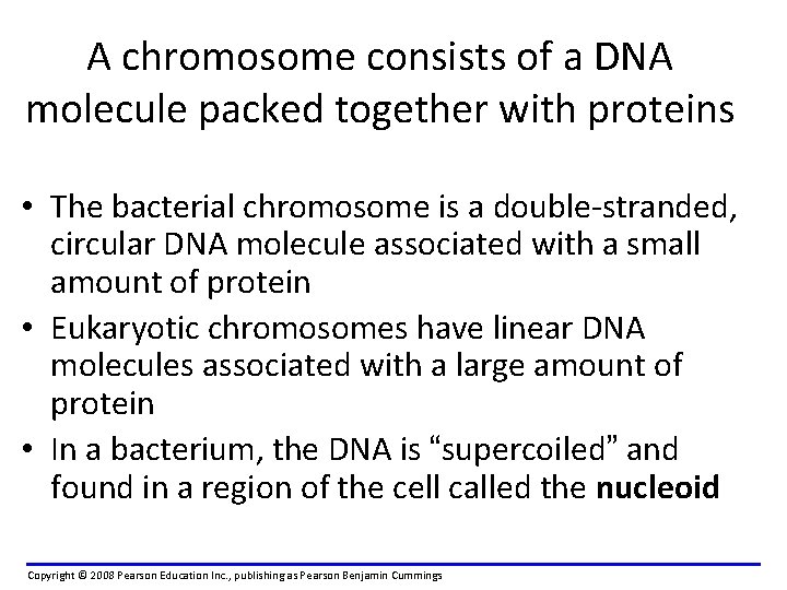 A chromosome consists of a DNA molecule packed together with proteins • The bacterial