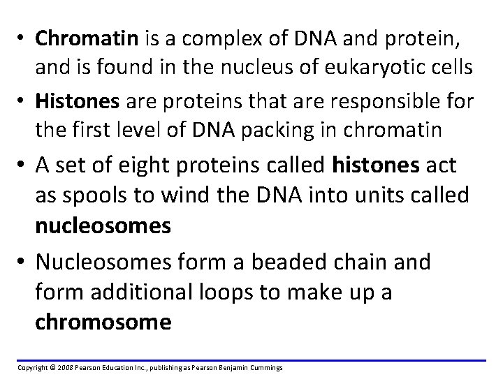  • Chromatin is a complex of DNA and protein, and is found in