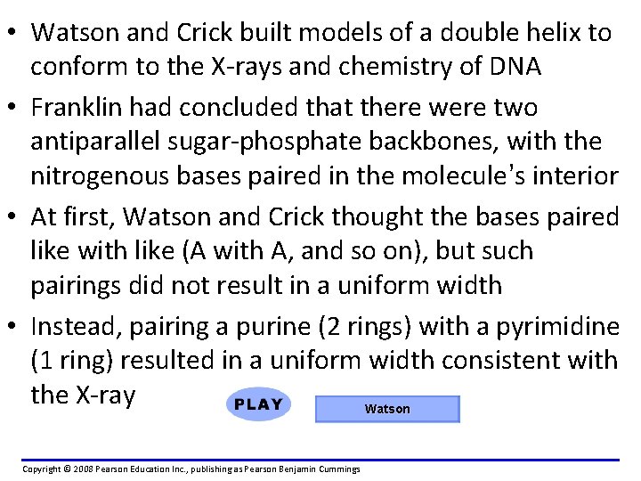  • Watson and Crick built models of a double helix to conform to