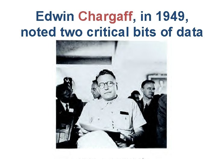 Edwin Chargaff, in 1949, noted two critical bits of data 
