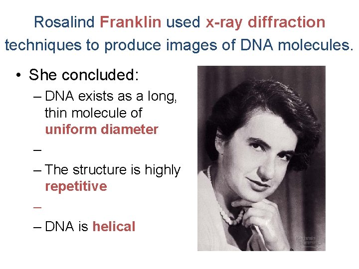 Rosalind Franklin used x-ray diffraction techniques to produce images of DNA molecules. • She