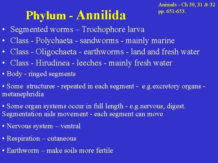 Phylum - Annilida • • Animals - Ch 30, 31 & 32 pp. 651