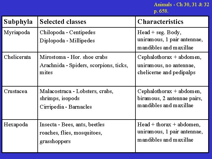 Animals - Ch 30, 31 & 32 p. 658. Subphyla Selected classes Characteristics Myriapoda