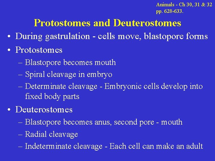 Animals - Ch 30, 31 & 32 pp. 628 -633. Protostomes and Deuterostomes •