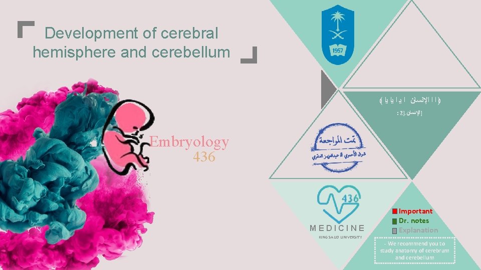 Development of cerebral hemisphere and cerebellum ﴾ ﴿ ﺍ ﺍ ﺍﻹﻧﺴﺎﻥ ﺍ ﻳﺍ ﻳﺍ