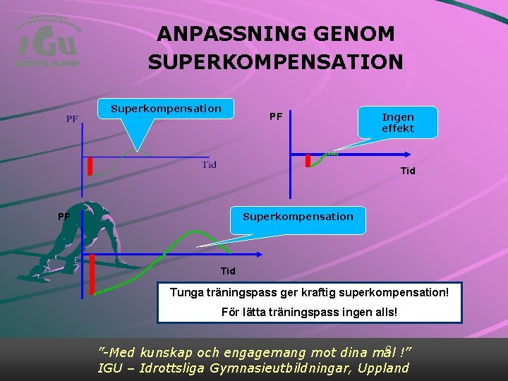 ANPASSNING GENOM SUPERKOMPENSATION Superkompensation PF Ingen effekt Tid Superkompensation PF Tid Tunga träningspass ger