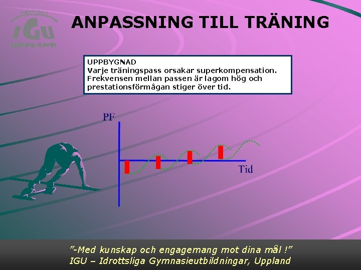 ANPASSNING TILL TRÄNING UPPBYGNAD Varje träningspass orsakar superkompensation. Frekvensen mellan passen är lagom hög