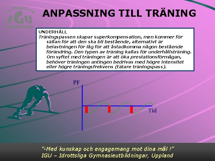 ANPASSNING TILL TRÄNING UNDERHÅLL Träningspassen skapar superkompensation, men kommer för sällan för att den