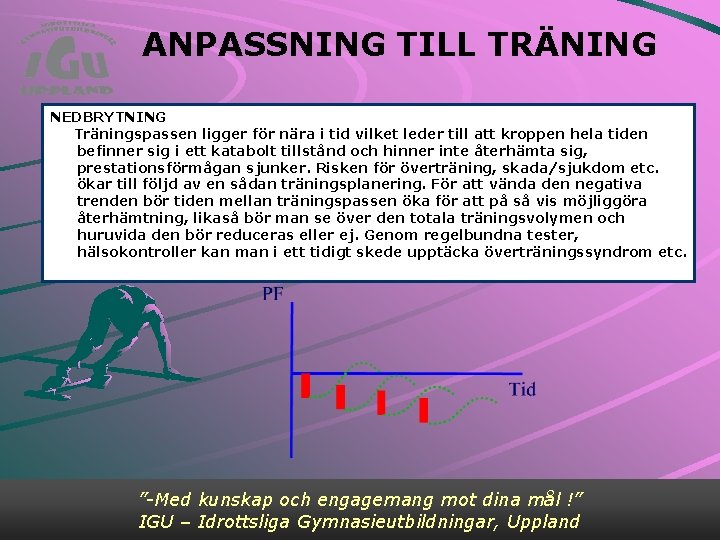 ANPASSNING TILL TRÄNING NEDBRYTNING Träningspassen ligger för nära i tid vilket leder till att