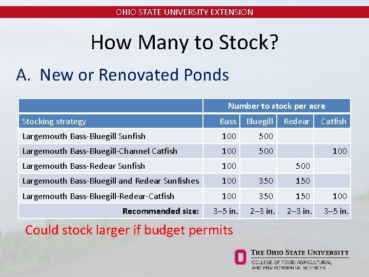 OHIO STATE UNIVERSITY EXTENSION How Many to Stock? A. New or Renovated Ponds Number