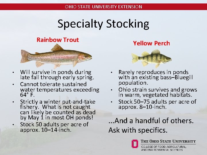 OHIO STATE UNIVERSITY EXTENSION Specialty Stocking Rainbow Trout Will survive in ponds during late