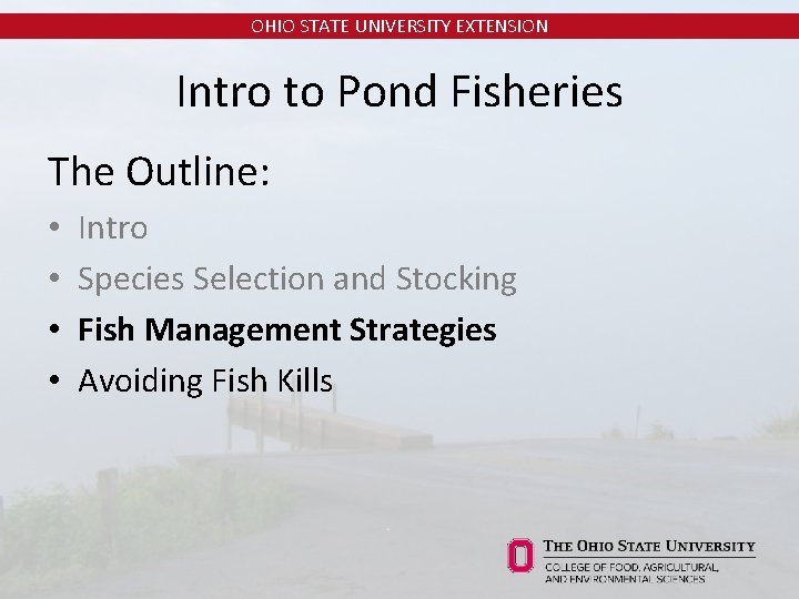 OHIO STATE UNIVERSITY EXTENSION Intro to Pond Fisheries The Outline: • • Intro Species