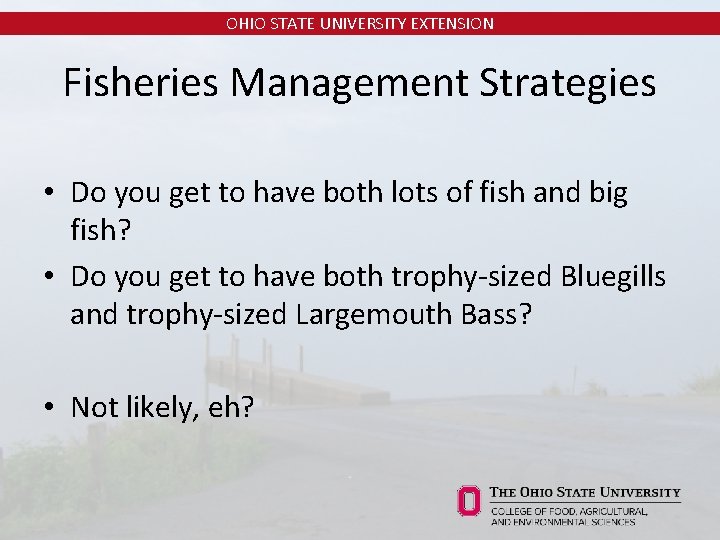 OHIO STATE UNIVERSITY EXTENSION Fisheries Management Strategies • Do you get to have both