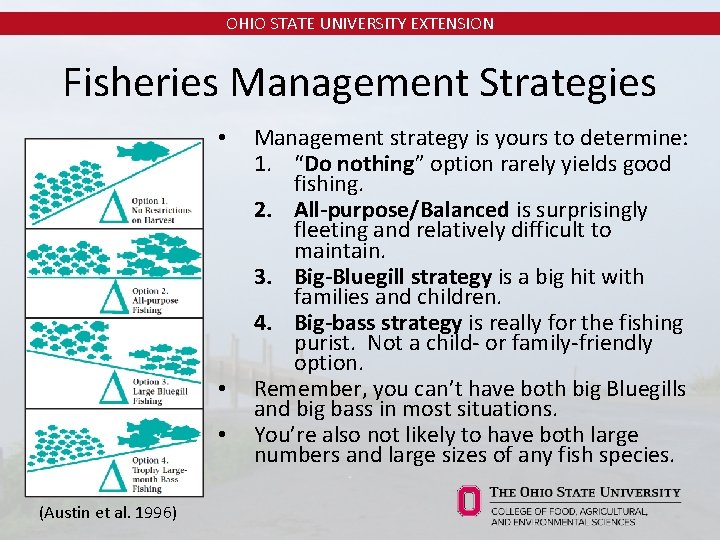 OHIO STATE UNIVERSITY EXTENSION Fisheries Management Strategies • • • (Austin et al. 1996)