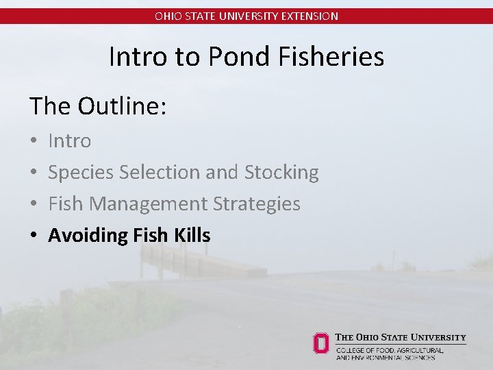OHIO STATE UNIVERSITY EXTENSION Intro to Pond Fisheries The Outline: • • Intro Species