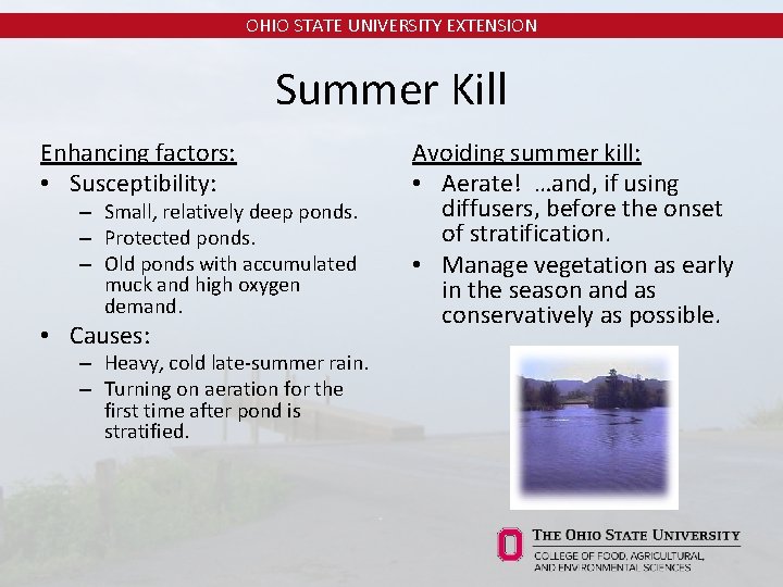 OHIO STATE UNIVERSITY EXTENSION Summer Kill Enhancing factors: • Susceptibility: – Small, relatively deep