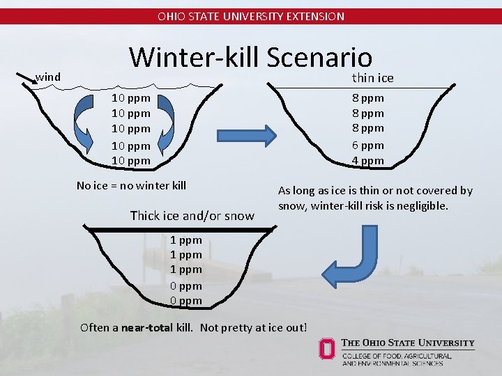 OHIO STATE UNIVERSITY EXTENSION wind Winter-kill Scenario thin ice 10 ppm 10 ppm 8