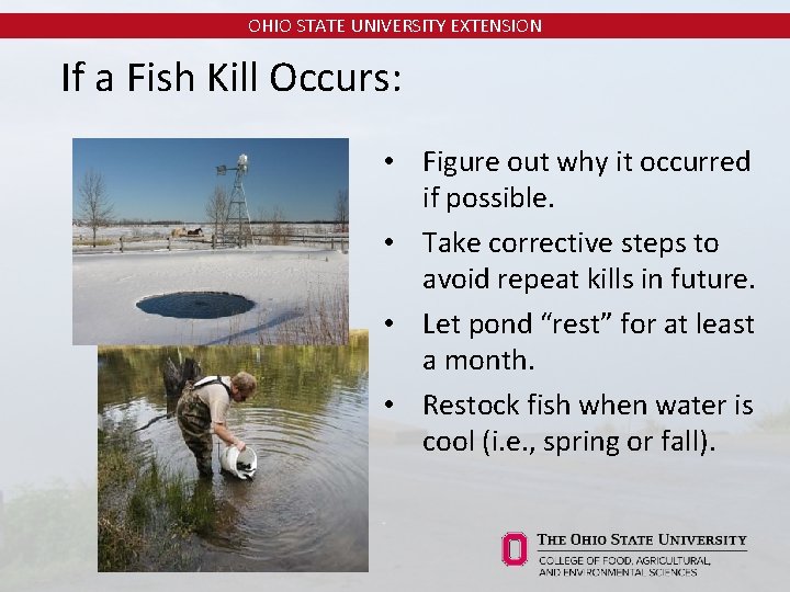 OHIO STATE UNIVERSITY EXTENSION If a Fish Kill Occurs: • Figure out why it