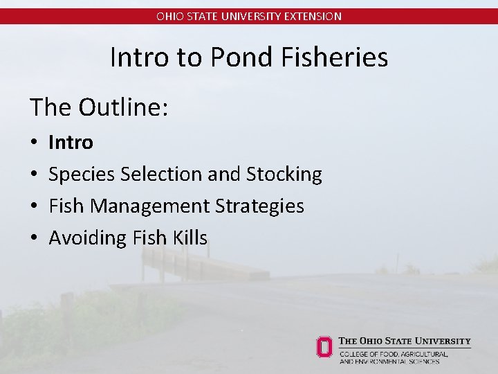 OHIO STATE UNIVERSITY EXTENSION Intro to Pond Fisheries The Outline: • • Intro Species