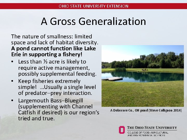 OHIO STATE UNIVERSITY EXTENSION A Gross Generalization The nature of smallness: limited space and