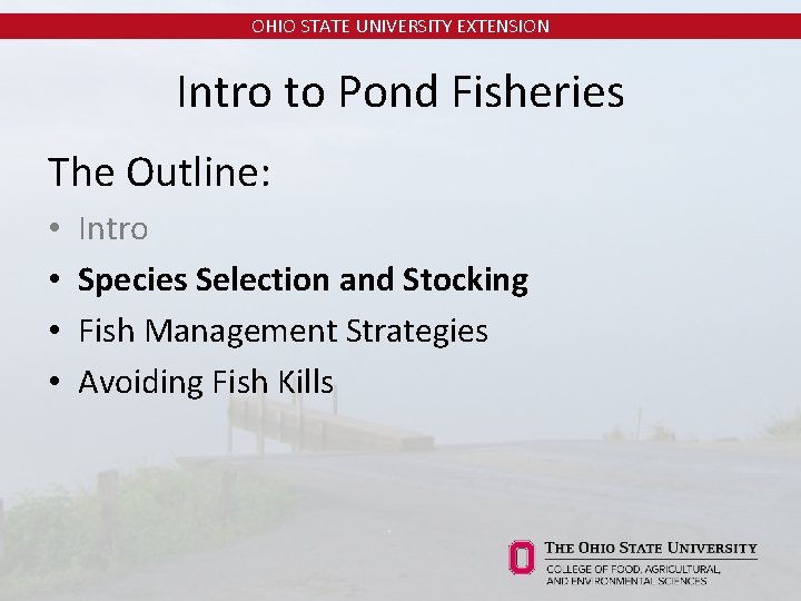 OHIO STATE UNIVERSITY EXTENSION Intro to Pond Fisheries The Outline: • • Intro Species