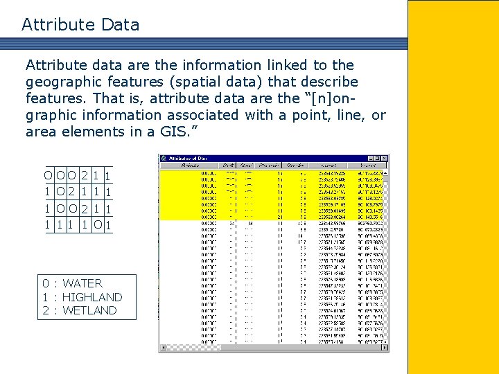 Attribute Data Attribute data are the information linked to the geographic features (spatial data)