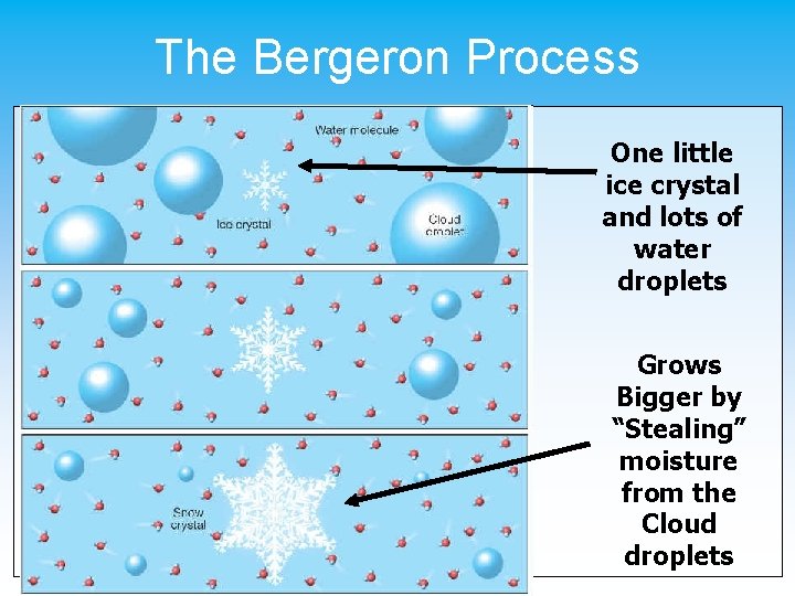 The Bergeron Process One little ice crystal and lots of water droplets Grows Bigger