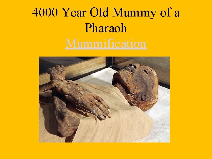 4000 Year Old Mummy of a Pharaoh Mummification 