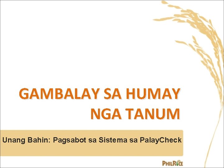 Humay Sagbot GAMBALAY SA HUMAY NGA TANUM Unang Bahin Pagsabot