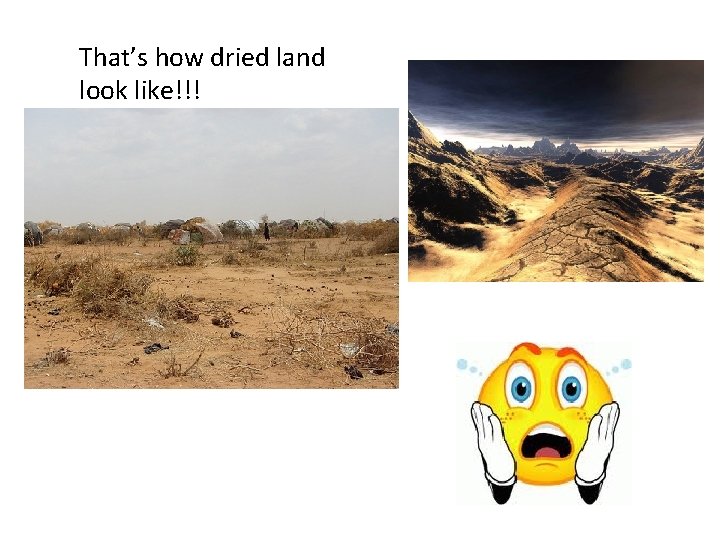 That’s how dried land look like!!! 