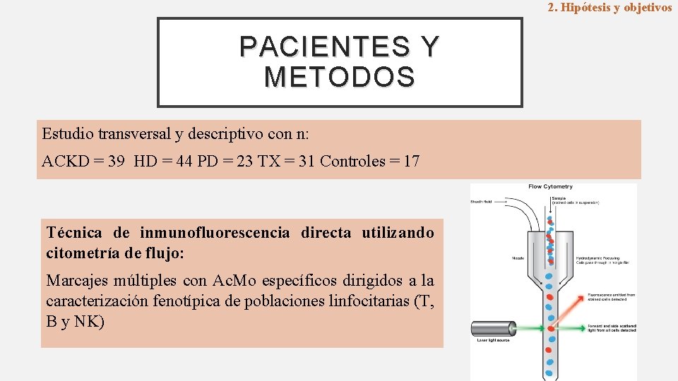 2. Hipótesis y objetivos PACIENTES Y METODOS Estudio transversal y descriptivo con n: ACKD