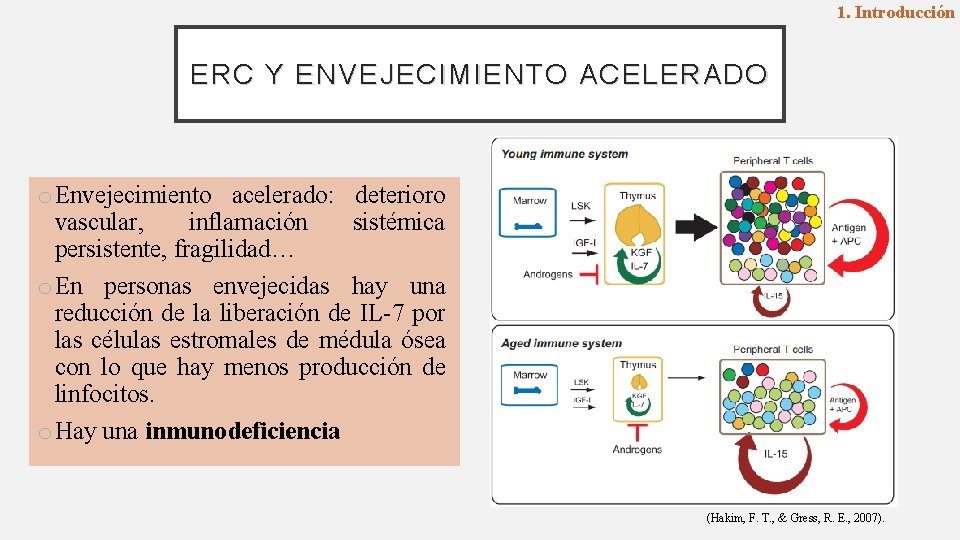 1. Introducción ERC Y ENVEJECIMIENTO ACELERADO o Envejecimiento acelerado: deterioro vascular, inflamación sistémica persistente,