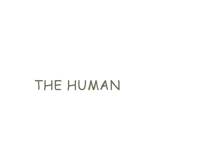 THE HUMAN 