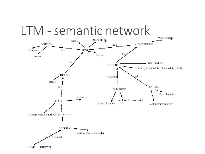 LTM - semantic network 