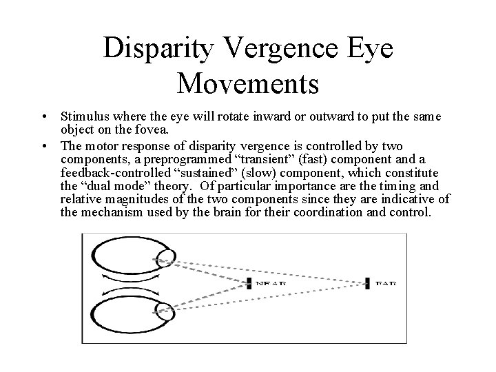 Disparity Vergence Eye Movements • Stimulus where the eye will rotate inward or outward