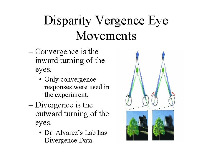 Disparity Vergence Eye Movements – Convergence is the inward turning of the eyes. •