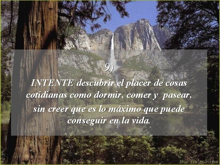 9) INTENTE descubrir el placer de cosas cotidianas como dormir, comer y pasear, sin