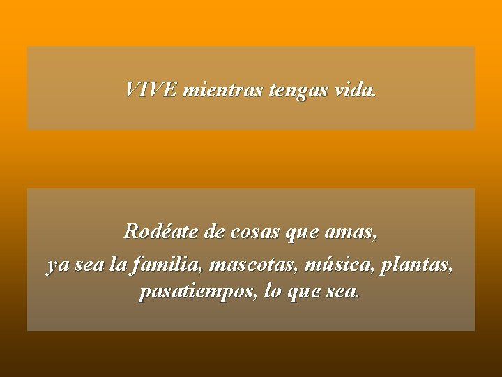 VIVE mientras tengas vida. Rodéate de cosas que amas, ya sea la familia, mascotas,