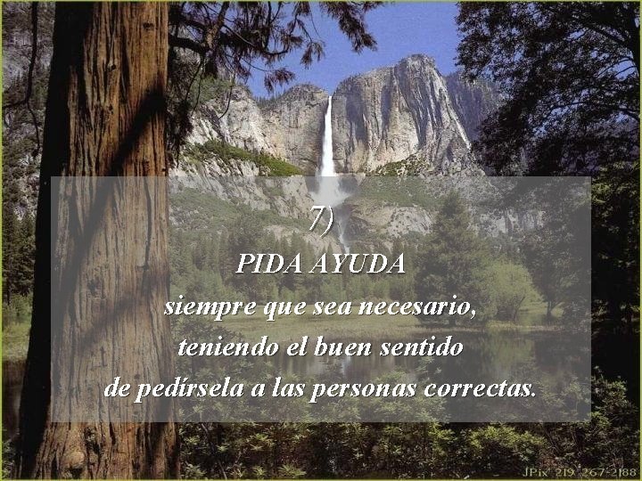 7) PIDA AYUDA siempre que sea necesario, teniendo el buen sentido de pedírsela a